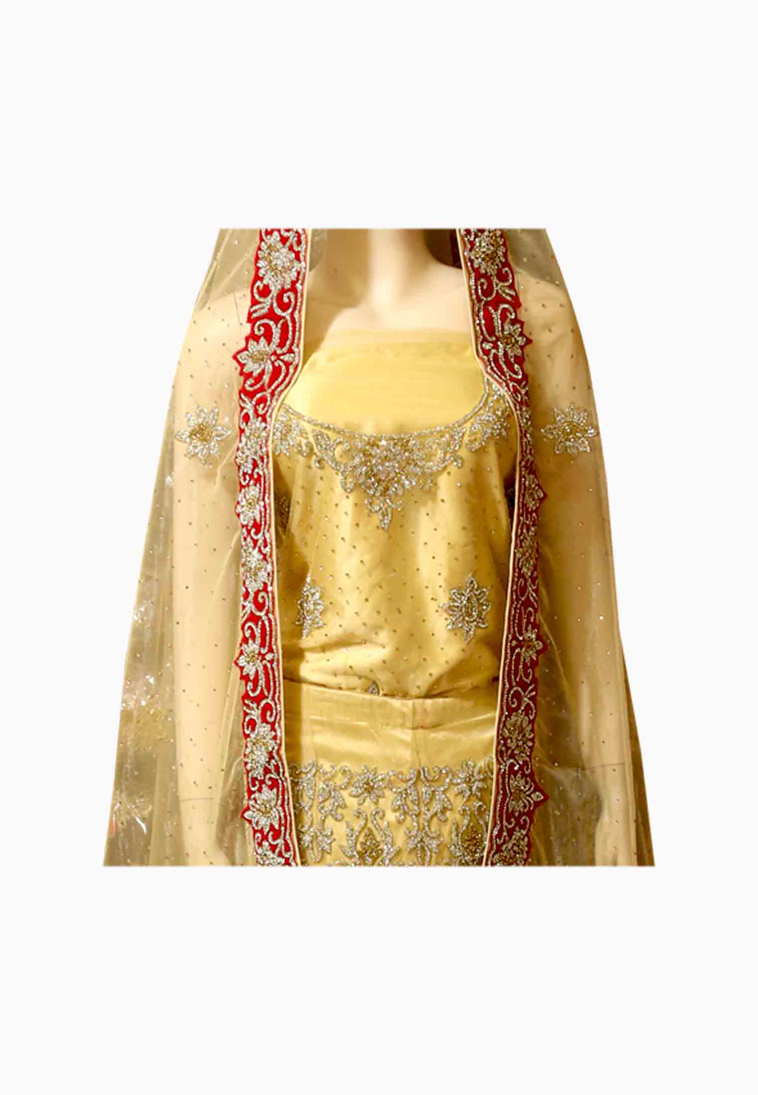 golden net maxi