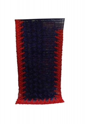 Blue and Red Net Saree