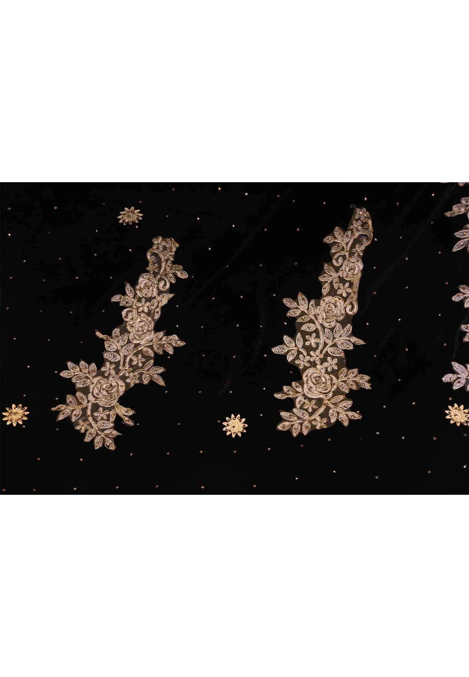 Indian velvet saree