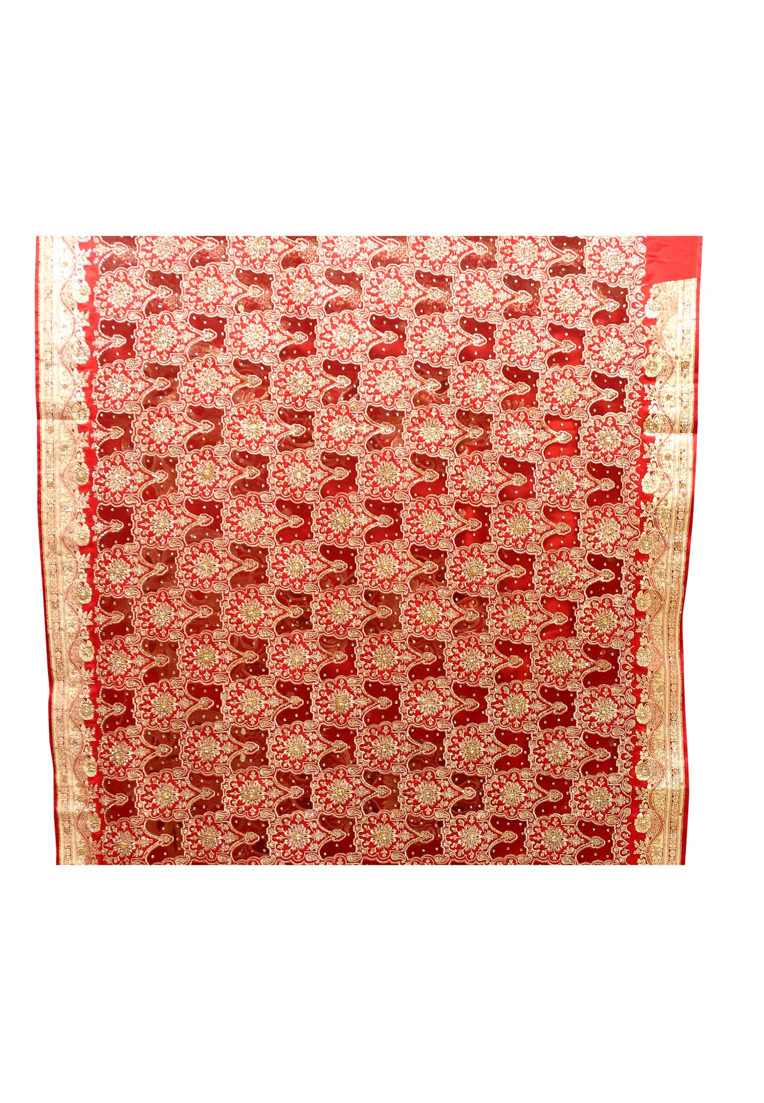 Amazing Indian Benarasi