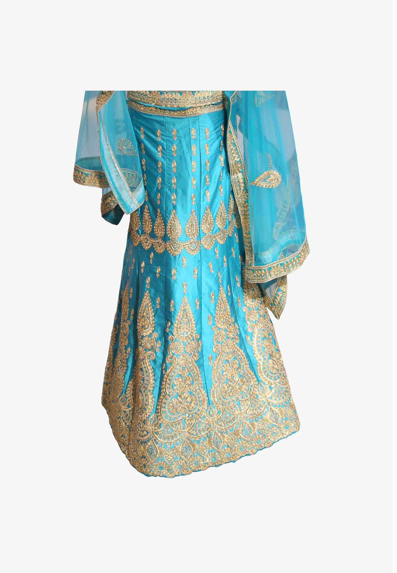 Indian party lehenga  