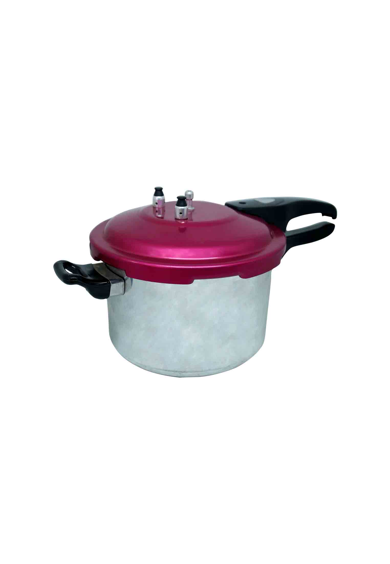 Ricco digital pressure cooker