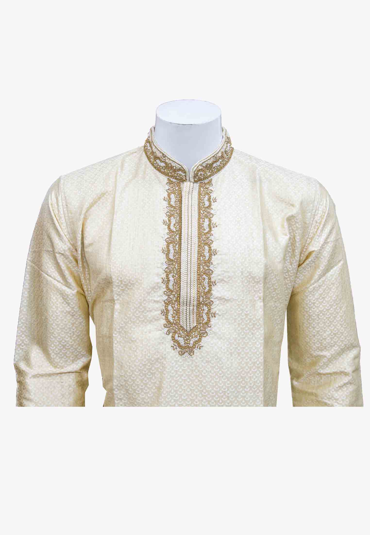 Indian Party Panjabi